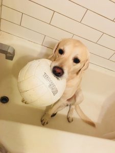 Fletcher waiting out a monsoon in the bathtub with his beloved volleyball, Volley.